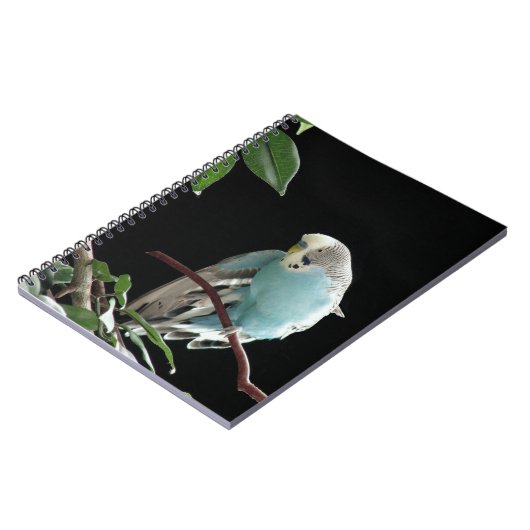 Carnet bleu de perruche, papeterie de perruche (Côté gauche)