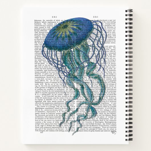 Carnet Bleu méduse (Dos)