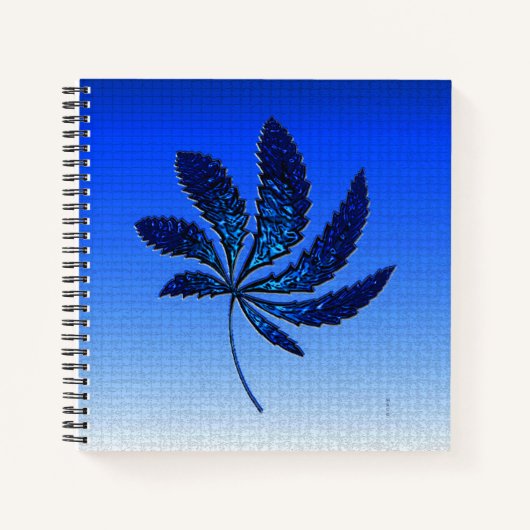 Carnet Bleu N brillant..... (Devant)