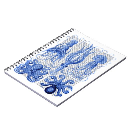 Carnet Bleu octopus et calmar (Côté gauche)