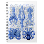 Carnet Bleu octopus et calmar (Devant)