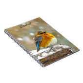 Carnet Bleuet de l'Est en neige - Photo originale (Côté Droit)
