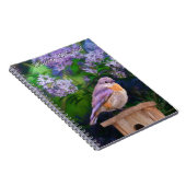 Carnet Bleuet de l'Est en neige - Photo originale (Côté Droit)