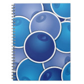 Carnet Bleuet funky (Devant)