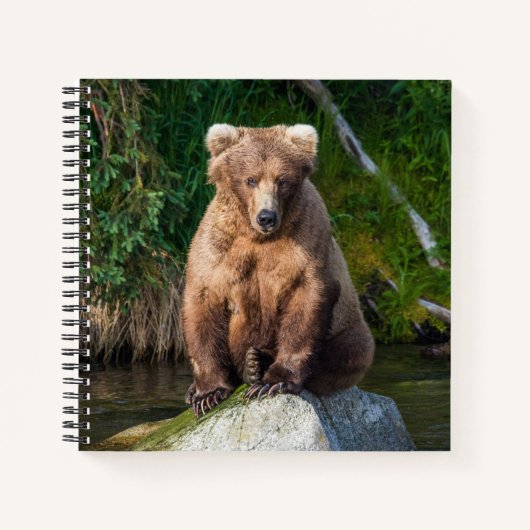 Carnet Bloc-notes 409 Beadnose (Devant)