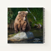 Carnet Bloc-notes 409 Beadnose (Dos)