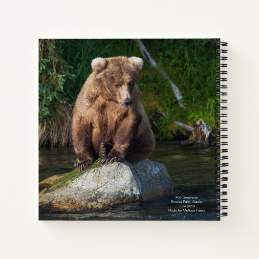 Carnet Bloc-notes 409 Beadnose (Dos)