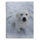 Carnet Bloc - notes de chiot de golden retriever (Devant)