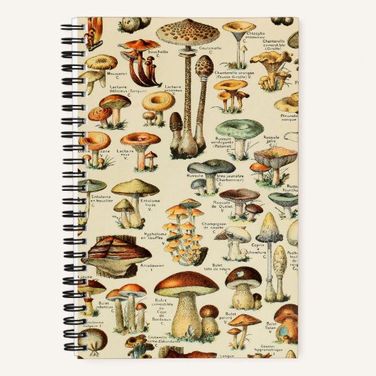 Carnet Bloc-notes de collection de champignons (Recto)