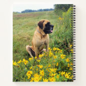 Carnet Bloc-notes en spirale Mastiff anglais (Dos)