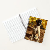 Carnet Bloc-notes en spirale Mastiff anglais (Intérieur)