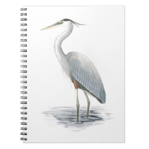 Carnet Bloc-notes Great Blue Heron