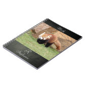 Carnet Bloc-notes Photo panda rouge, animaux 0436. (Côté gauche)