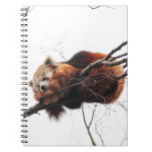 Carnet Bloc-notes Red Panda (Devant)