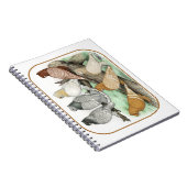 Carnet Blondinettes de pigeons de frill classique (Côté Droit)