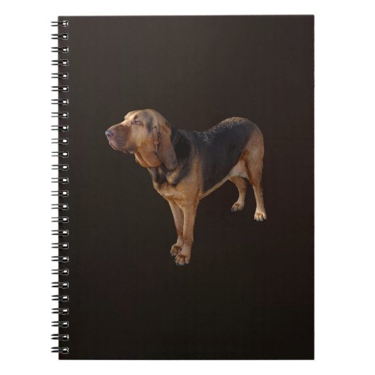 Carnet Bloodhound (Devant)