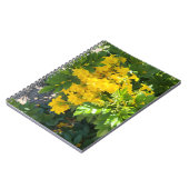 Carnet Bloom du désert (Côté gauche)