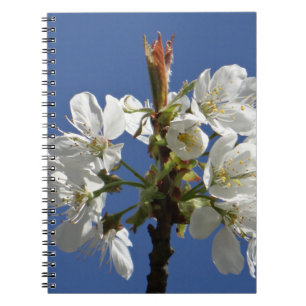 Carnet Bloom du printemps blanc
