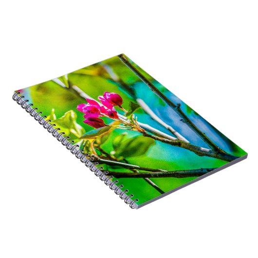 Carnet Blossom à l'intérieur (Côté Droit)