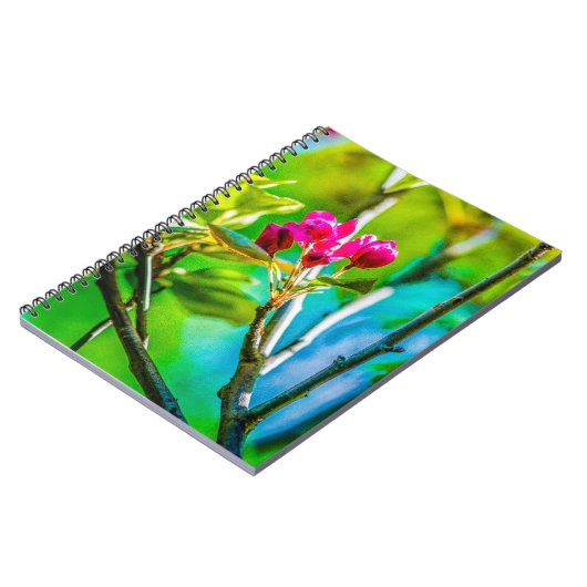 Carnet Blossom à l'intérieur (Côté gauche)