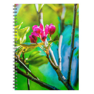 Carnet Blossom à l'intérieur