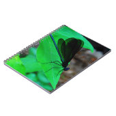 Carnet Blue Damselfly on a green leaf. (Côté gauche)