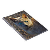 Carnet Blue Eyed (Côté Droit)