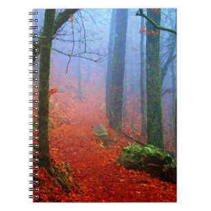 Carnet Blue fog