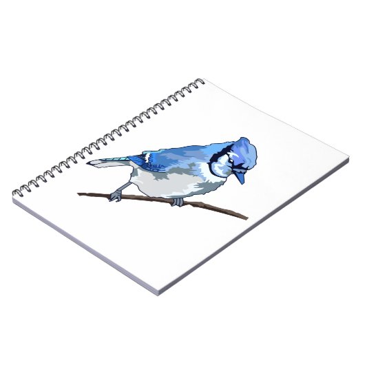 Carnet Blue Jay (Côté gauche)