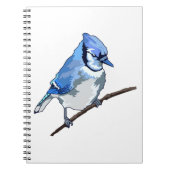 Carnet Blue Jay (Devant)