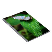 Carnet Blue Morpho 112 Notebook (Côté Droit)