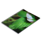 Carnet Blue Morpho 112 Notebook (Côté gauche)