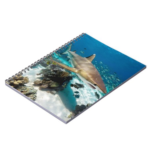 Carnet Blue Ocean Summer Beach requin Photo (Côté gauche)