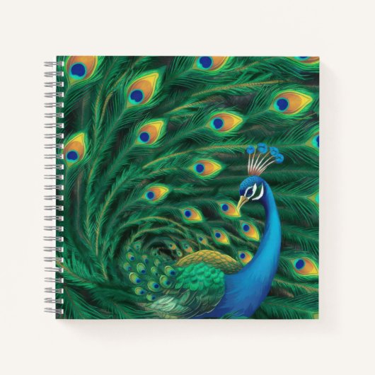 Carnet Blue Peacock Bird (Devant)