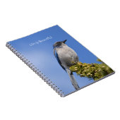 Carnet Blue Sky Bluebird Tree (my photography) (Côté Droit)