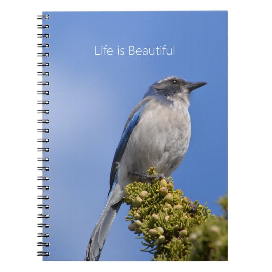 Carnet Blue Sky Bluebird Tree (my photography) (Devant)