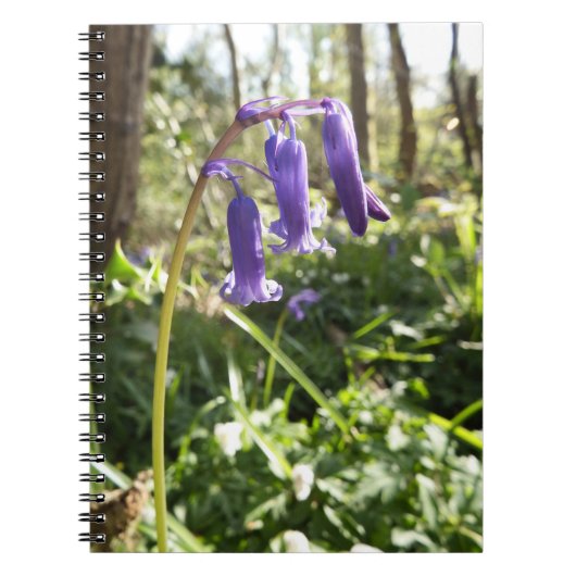 Carnet Bluebells (Devant)