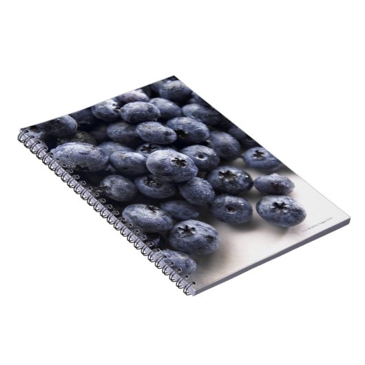 Carnet Blueberries 2 (Côté Droit)