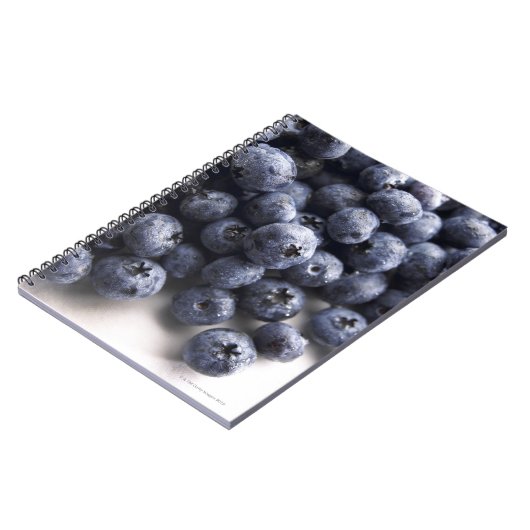 Carnet Blueberries 2 (Côté gauche)