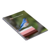 Carnet Bluebird (Côté Droit)