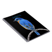 Carnet Bluebird (Côté Droit)