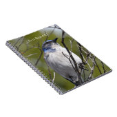 Carnet Bluebird in Tree (my photography) (Côté Droit)