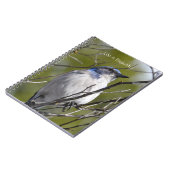 Carnet Bluebird in Tree (my photography) (Côté gauche)