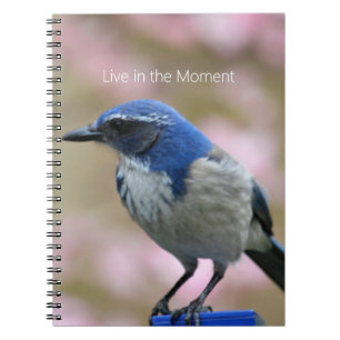 Carnet Bluebird Rose Florale (ma photographie)
