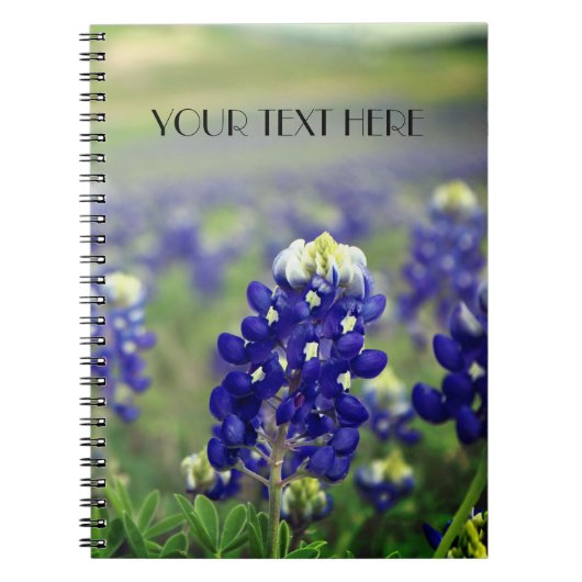 Carnet Bluebonnets Blue Flowers Texas texan Floral (Devant)