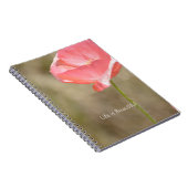 Carnet Blush Pink Iceland Poppy Flower (my photography) (Côté Droit)