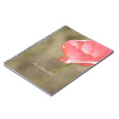 Carnet Blush Pink Iceland Poppy Flower (my photography) (Côté gauche)