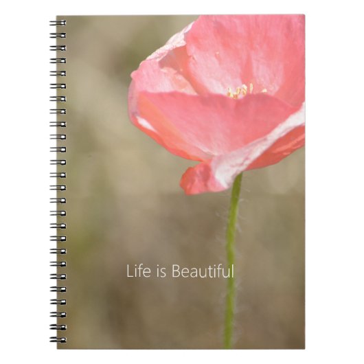 Carnet Blush Pink Iceland Poppy Flower (my photography) (Devant)