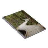 Carnet Boardwalk to Nelson Falls, Franklin - Gordon (Côté Droit)