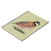 Carnet Bobwhite Quail (Côté gauche)